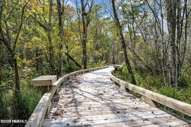 1699 Haldon Ln SE, Bolivia, NC 28422 - view of property's community with a forest view