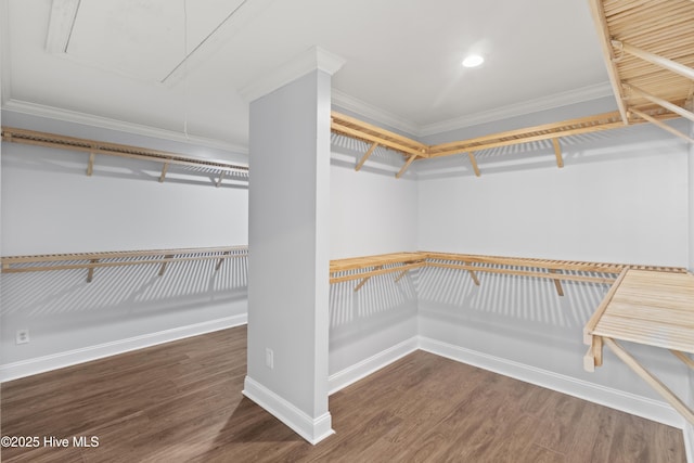 995 Chadwick Shores Dr, Sneads Ferry, NC 28460 - spacious closet with attic access and wood finished floors