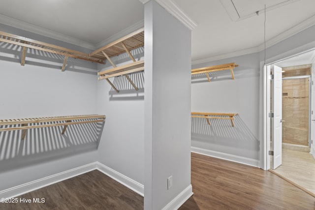 995 Chadwick Shores Dr, Sneads Ferry, NC 28460 - spacious closet with attic access and wood finished floors
