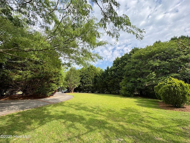 view of yard with a forest view