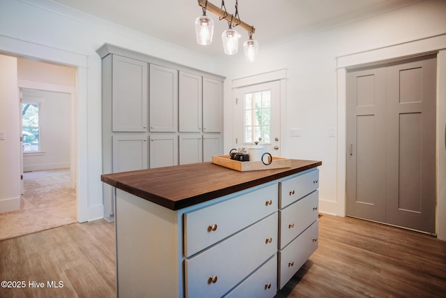 walk in closet with light wood-style floors