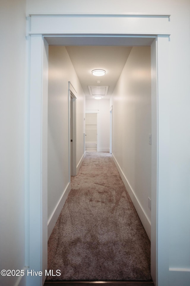 corridor featuring carpet floors, baseboards, and attic access