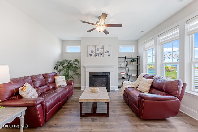 2226 Jasper Forest Trl, Winnabow, NC 28479 - living area featuring plenty of natural light, wood finished floors, a ceiling fan, and a glass covered fireplace