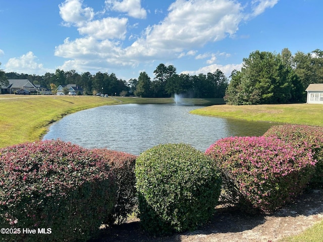 property view of water
