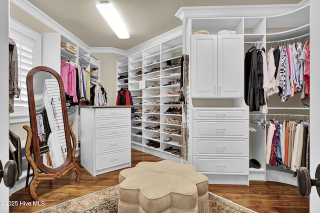 walk in closet with wood finished floors