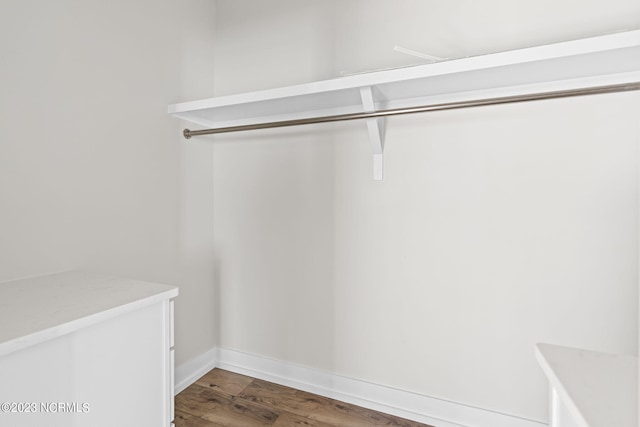 spacious closet featuring wood finished floors
