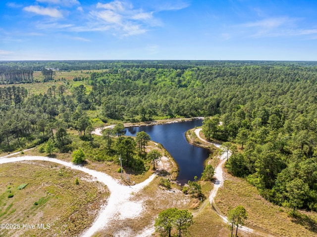 birds eye view of property featuring a water view and a view of trees