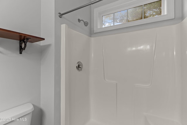 bathroom with a shower and toilet