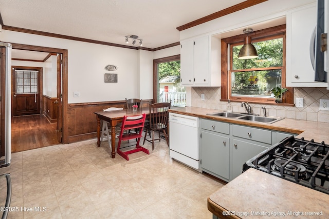 kitchen with a sink, white dishwasher, a wainscoted wall, light countertops, and ornamental molding