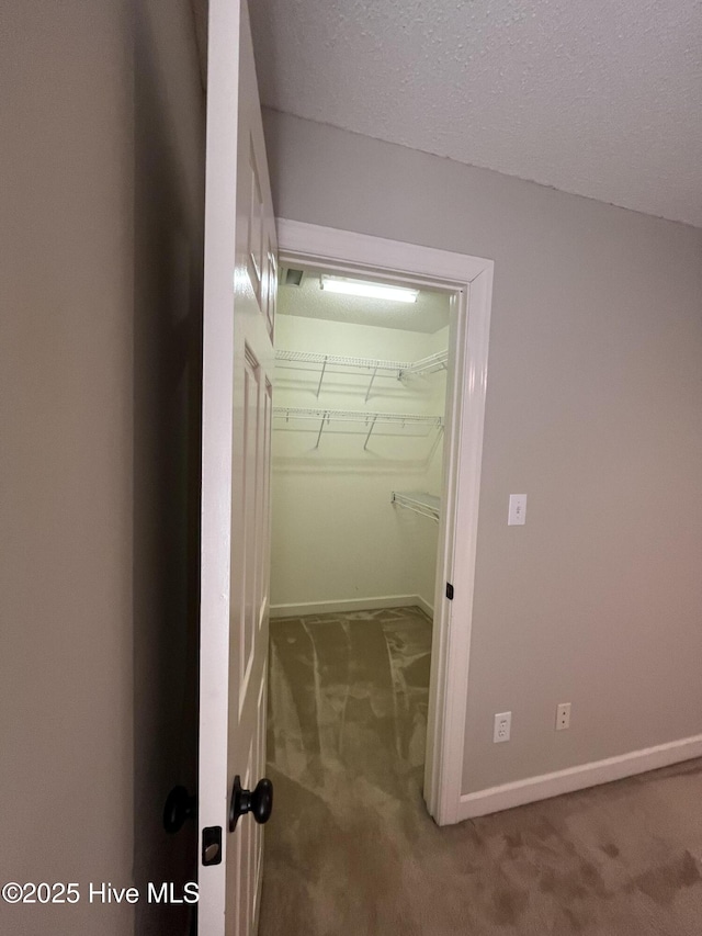 walk in closet with carpet floors