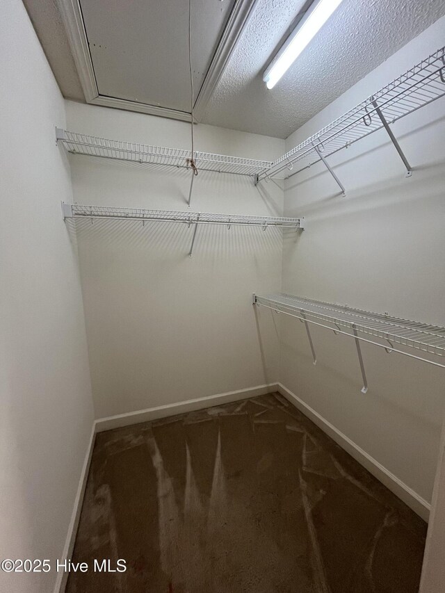 spacious closet with carpet floors and attic access