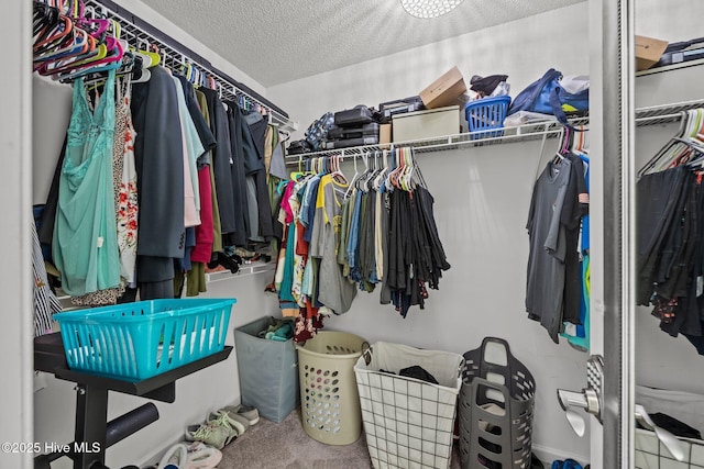 walk in closet featuring carpet floors
