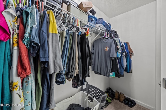 walk in closet featuring carpet floors
