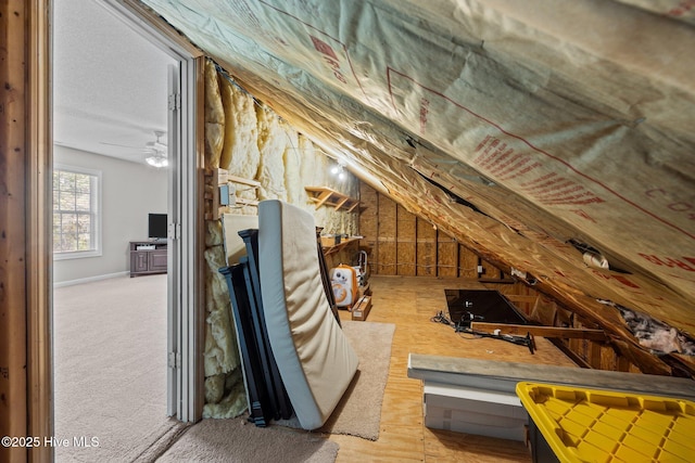 view of unfinished attic