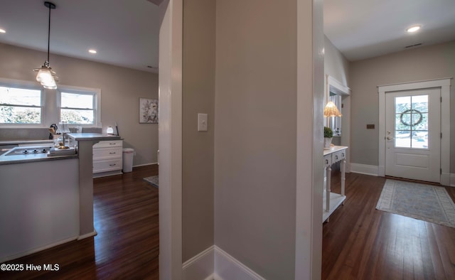 223 N Main St, Wendell, NC 27591 - foyer entrance featuring baseboards, a healthy amount of sunlight, and dark wood finished floors