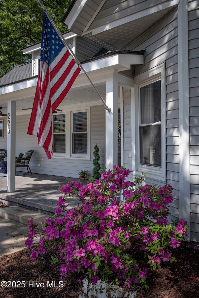 223 N Main St, Wendell, NC 27591 - doorway to property with covered porch