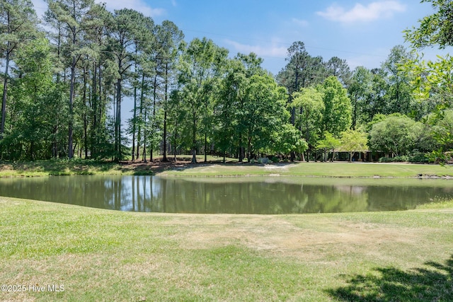118 Legacy Oaks Dr, Wallace, NC 28466 - water view