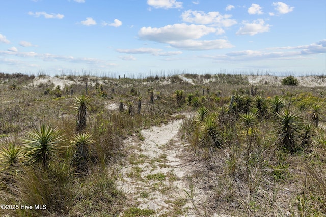 view of undeveloped land