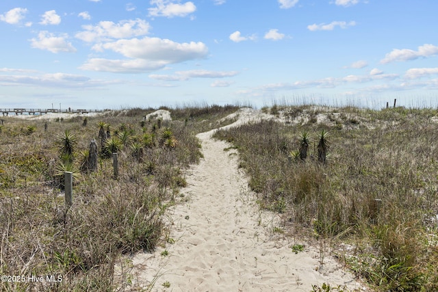 view of undeveloped land