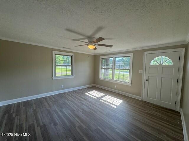 foyer entrance featuring ceiling fan, a wealth of natural light, crown molding, and a textured ceiling