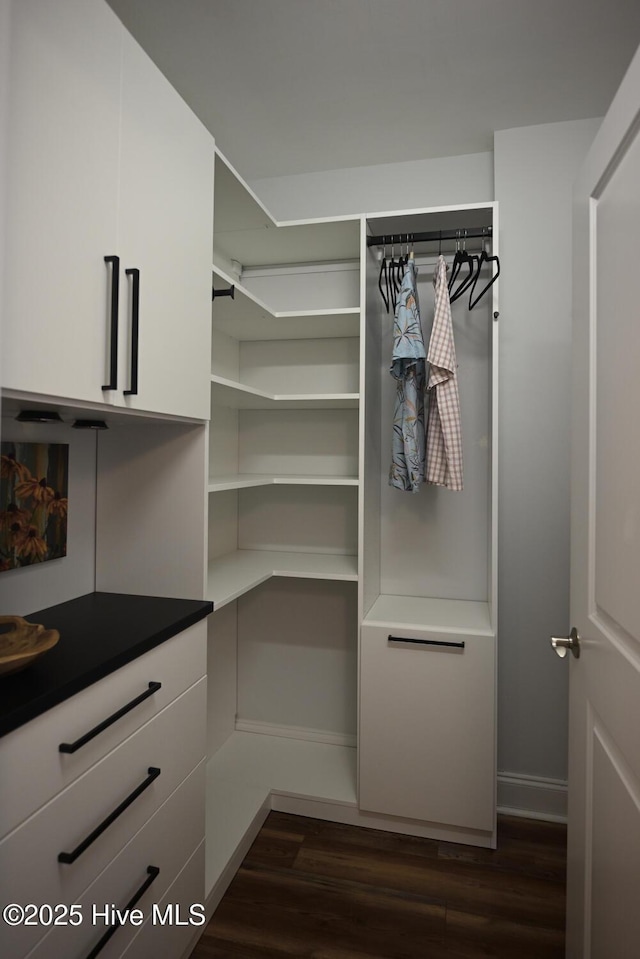 3100 Marsh Grove Ln Unit 3212, Southport, NC 28461 - walk in closet featuring dark wood-type flooring
