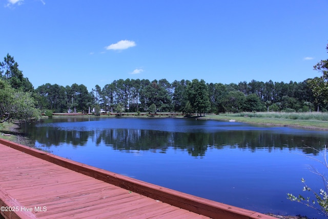 3100 Marsh Grove Ln Unit 3212, Southport, NC 28461 - dock featuring a water view and a view of trees