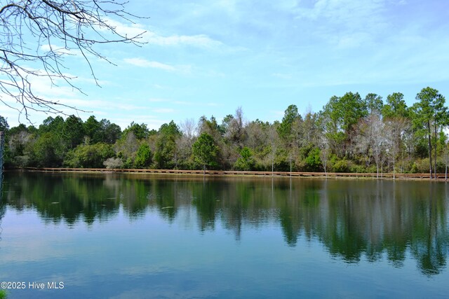 3100 Marsh Grove Ln Unit 3212, Southport, NC 28461 - water view featuring a forest