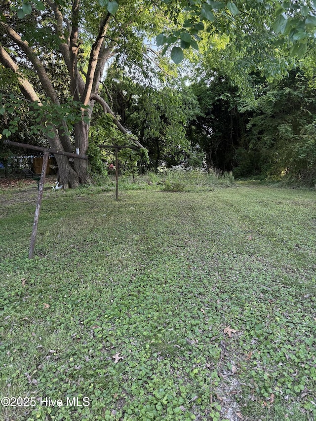 view of yard