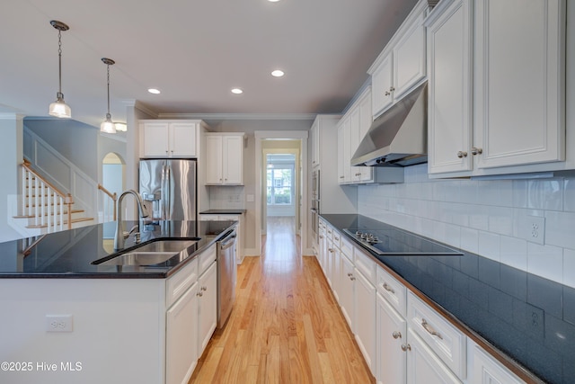 1012 Anchors Bend Way, Wilmington, NC 28411 - kitchen with under cabinet range hood, appliances with stainless steel finishes, a sink, light wood-type flooring, and crown molding
