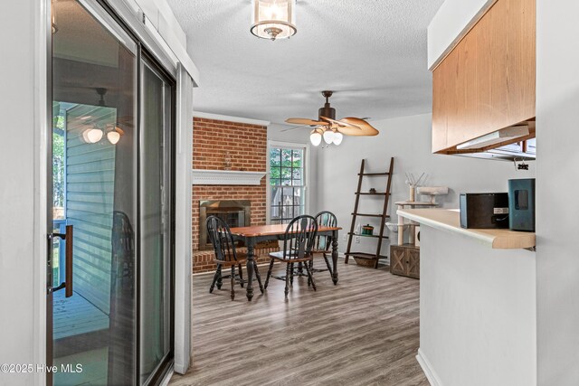 dining space with a fireplace, light wood-type flooring, a ceiling fan, baseboards, and a textured ceiling
