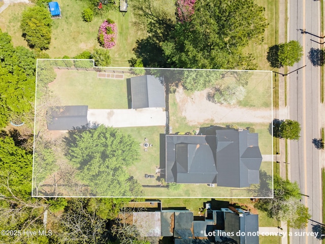 bird's eye view
