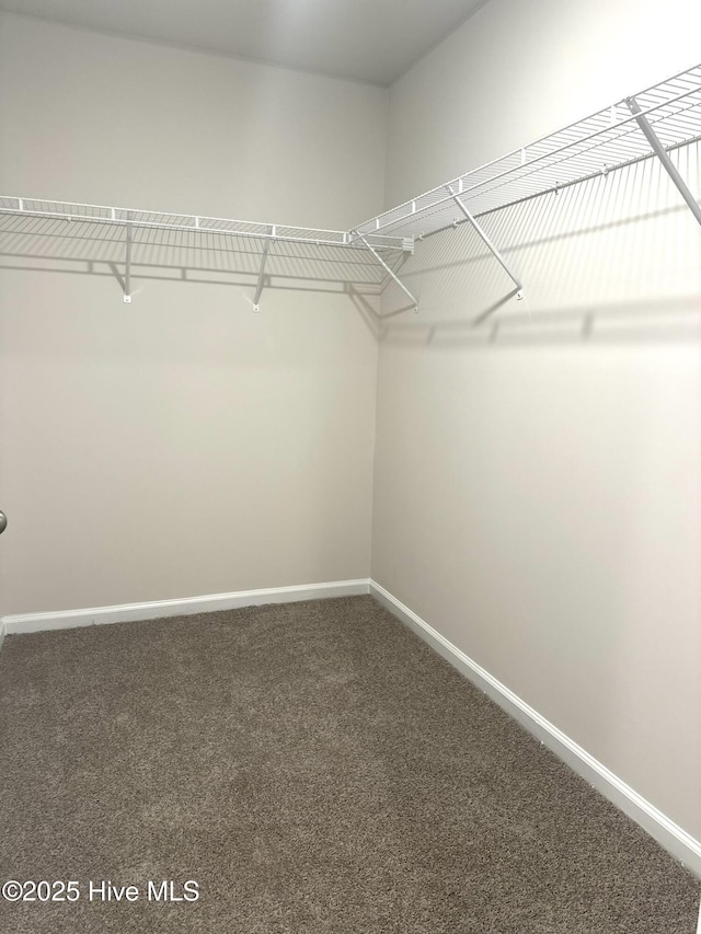 walk in closet with carpet