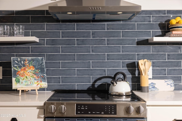 details featuring exhaust hood, stainless steel range with electric stovetop, and backsplash