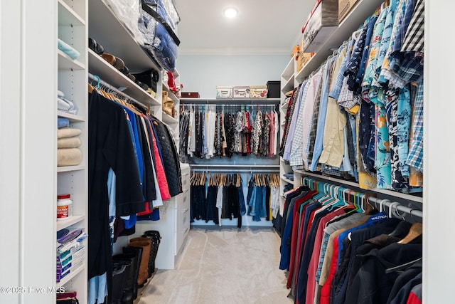 walk in closet with carpet floors