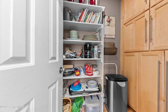 view of pantry