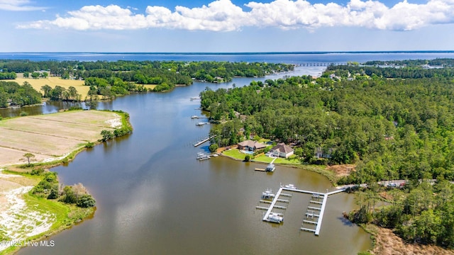 61 Spinnaker Point Rd N, Oriental, NC 28571 - bird's eye view of a large body of water