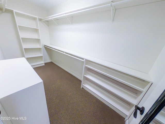 spacious closet with dark carpet