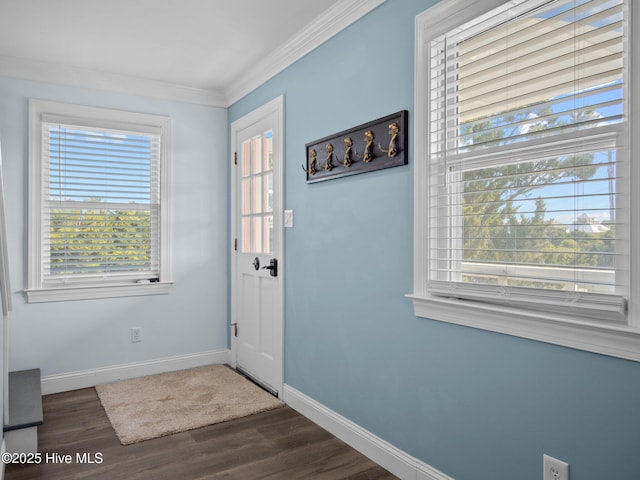 foyer with baseboards, crown molding, and dark wood-style floors
