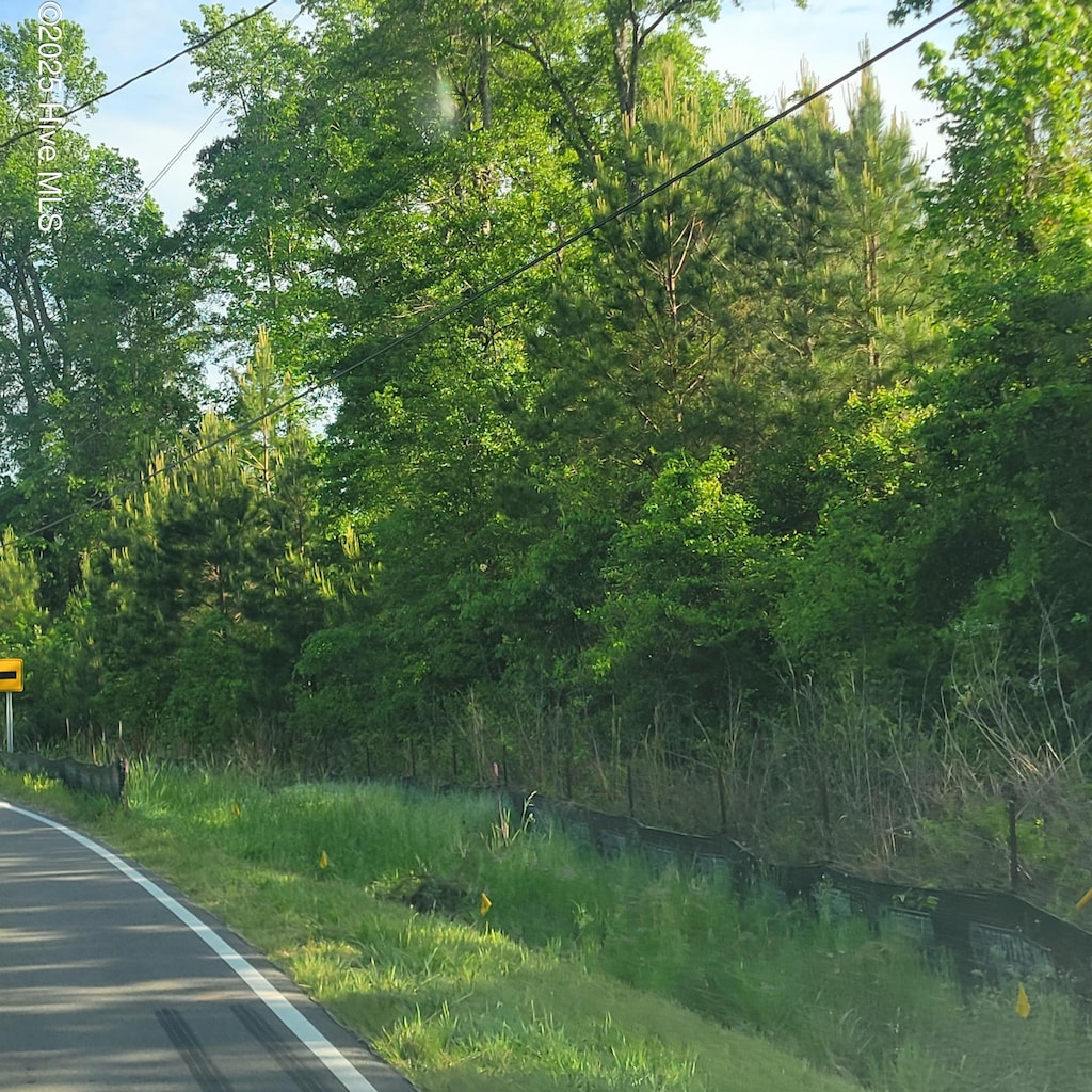Lots N Wright Street, Burgaw, NC 28425