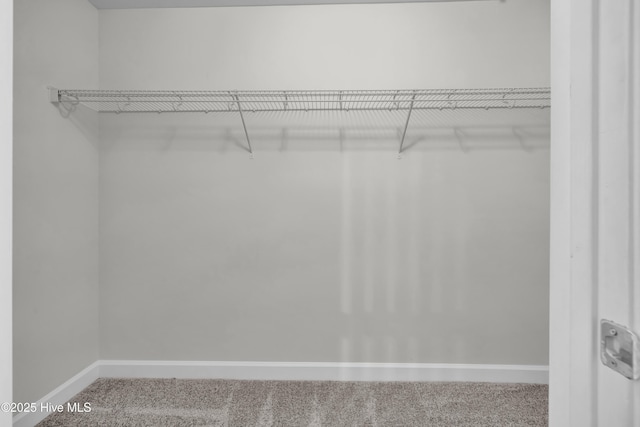 spacious closet with carpet floors