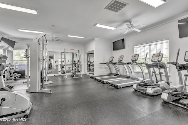 gym with crown molding, ceiling fan, and visible vents