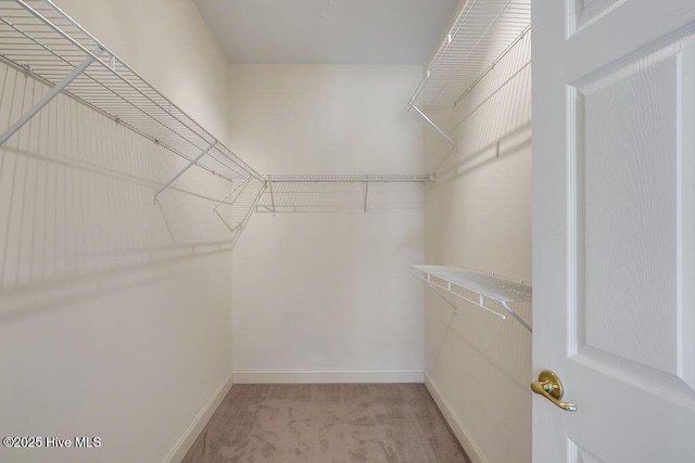1008 Garden Club Way, Leland, NC 28451 - spacious closet with light colored carpet