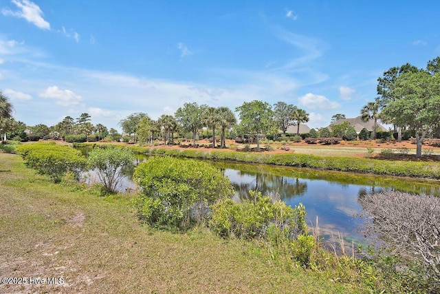 1008 Garden Club Way, Leland, NC 28451 - water view