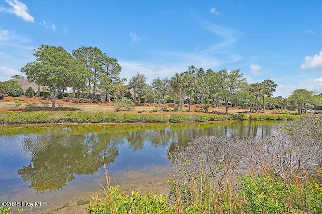 1008 Garden Club Way, Leland, NC 28451 - water view
