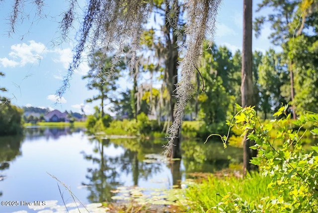 1008 Garden Club Way, Leland, NC 28451 - water view