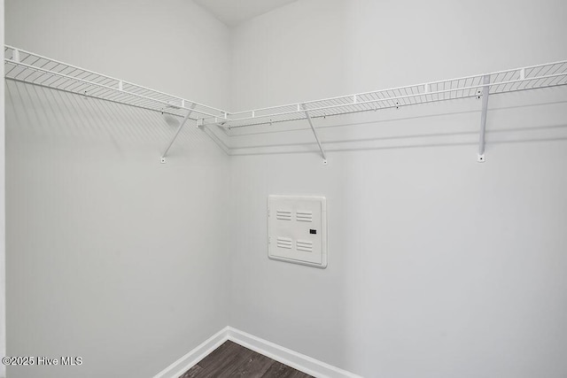 walk in closet with dark wood-style flooring