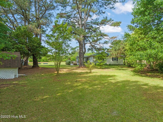 view of yard