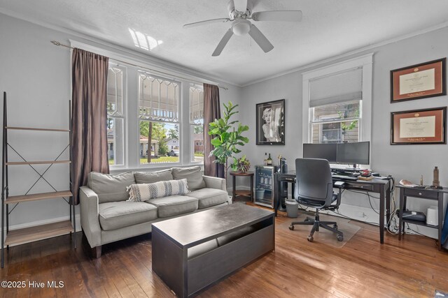 210 S 17th St, Wilmington, NC 28401 - office space featuring hardwood / wood-style flooring, ornamental molding, and ceiling fan