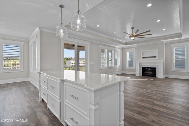 kitchen featuring dark wood-style flooring, a raised ceiling, a healthy amount of sunlight, and baseboards
