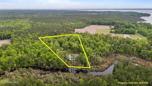 drone / aerial view with a water view and a forest view